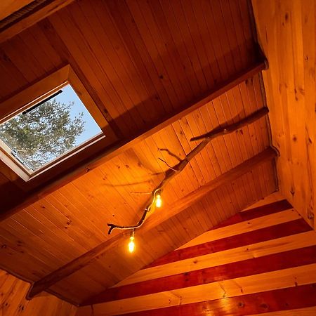 Patagonia Nativa Bed & Breakfast Cochamo Exterior photo
